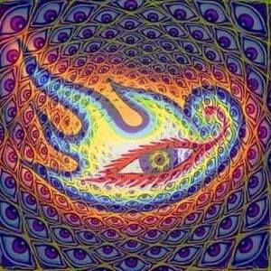 Meet your Posher, Garrett